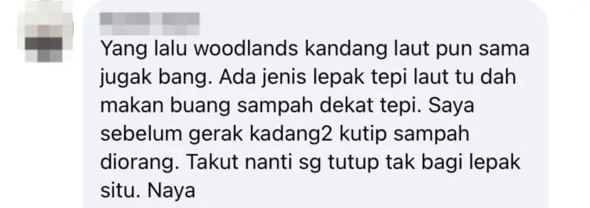 netizen comment