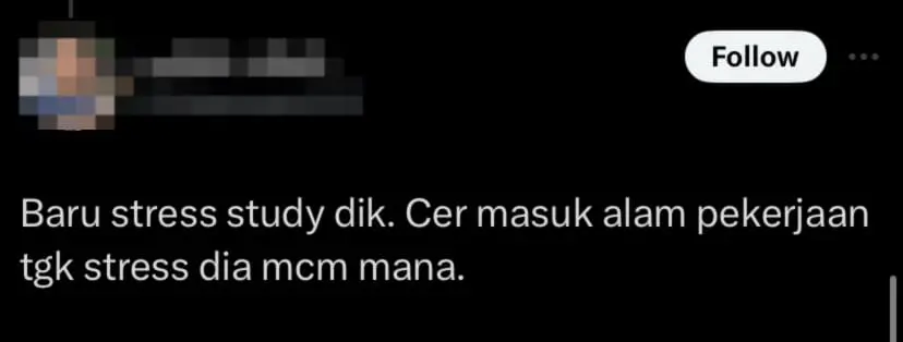 netizen comment