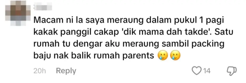 netizen comment