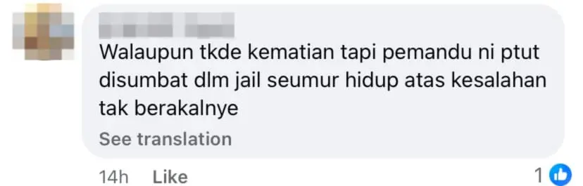 netizen comment