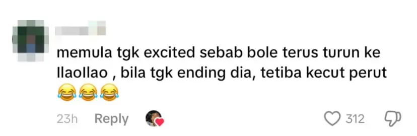 netizen comment