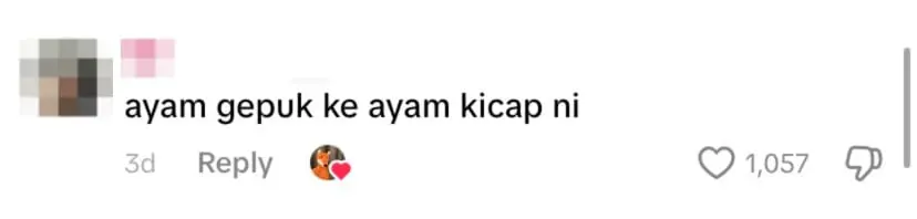 netizen comment
