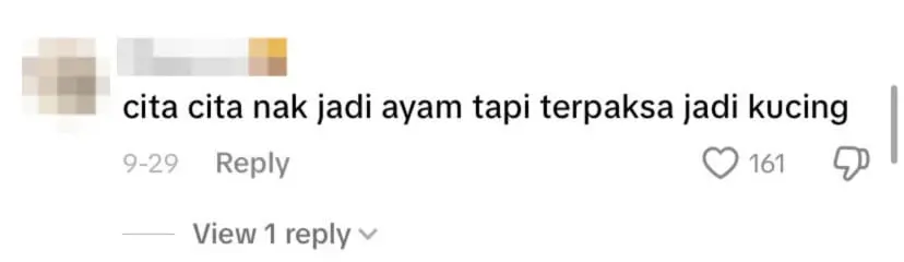 netizen comment