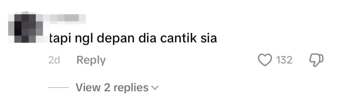 netizen comment