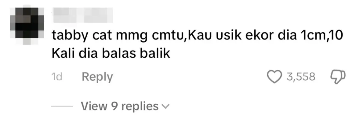 netizen comment