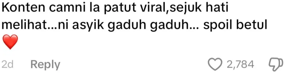 netizen comment