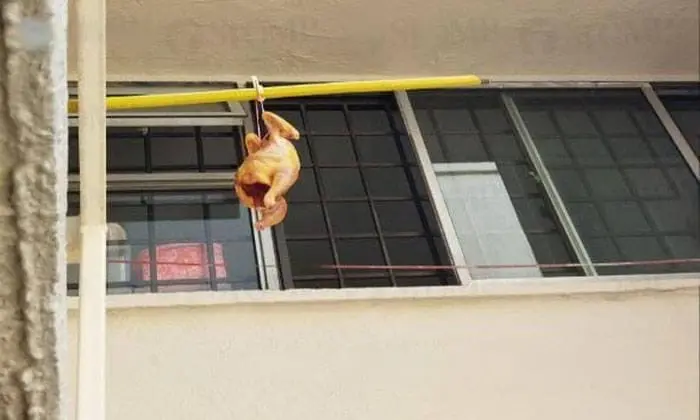 Whole chicken seen hanging out from flat in SG