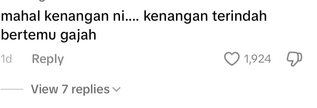 wild elephants gerik jeli highway comment