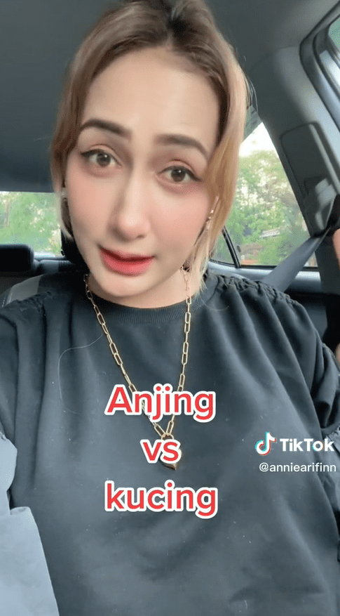 M'sian Man Spotted Putting Dog On Top Of Table At Mamak Stall, Sparks Outrage Online