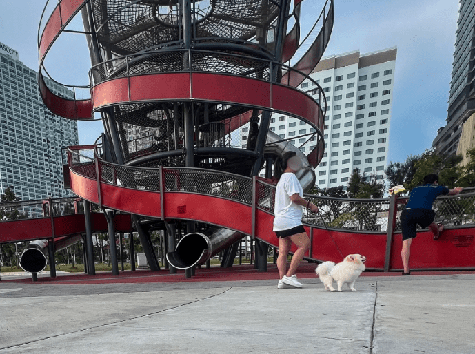 Woman brings pet dog to Gurney Bay