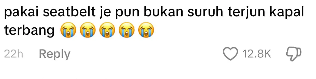 Woman Refuses To Wear Seatbelt & Argues With Crew, Later Gets Ushered Off The Plane comment