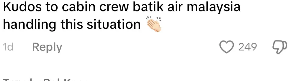 Woman Refuses To Wear Seatbelt & Argues With Crew, Later Gets Ushered Off The Plane comment 