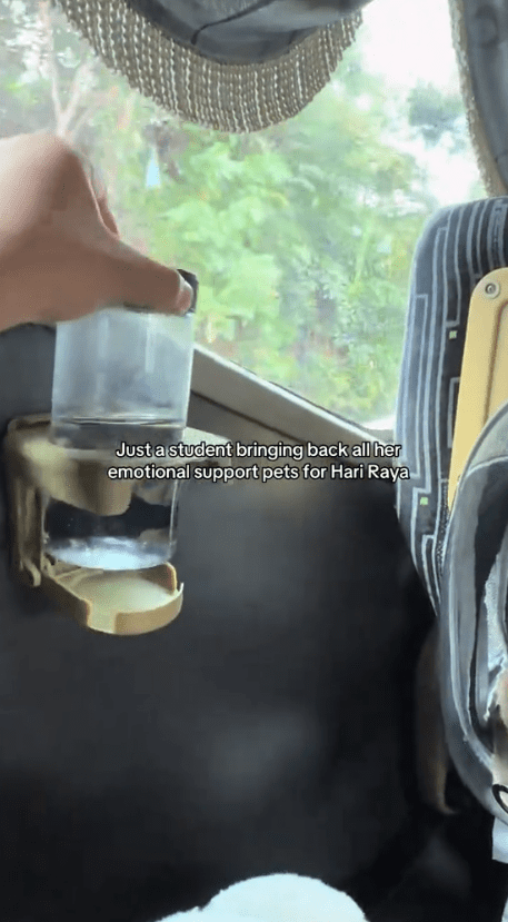 woman showing her pet's water