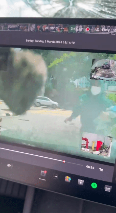 woman throwing stone at the windscreen