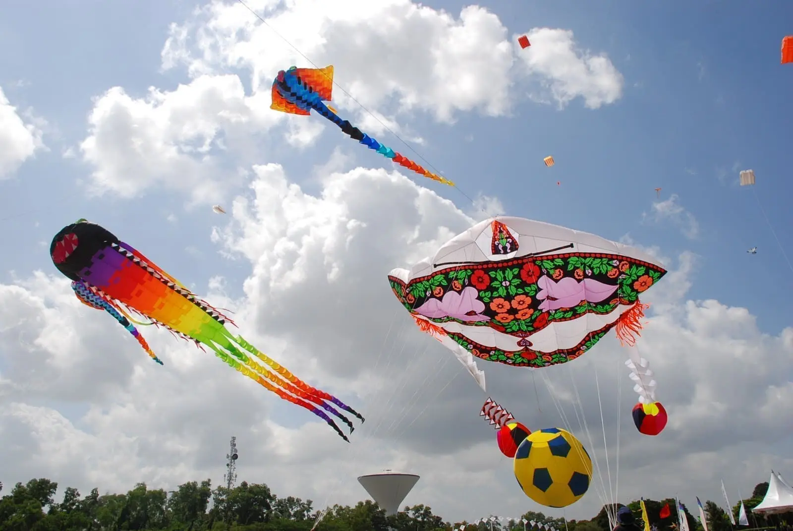 kite flying in various shapes.