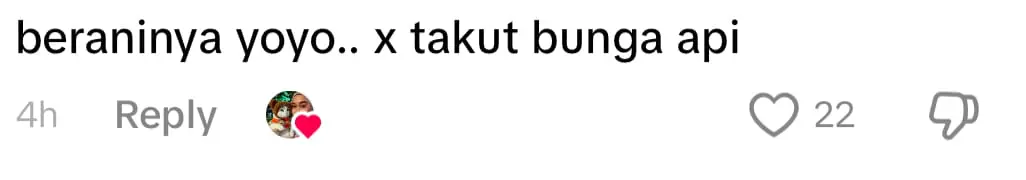 yoyo the cat comment 