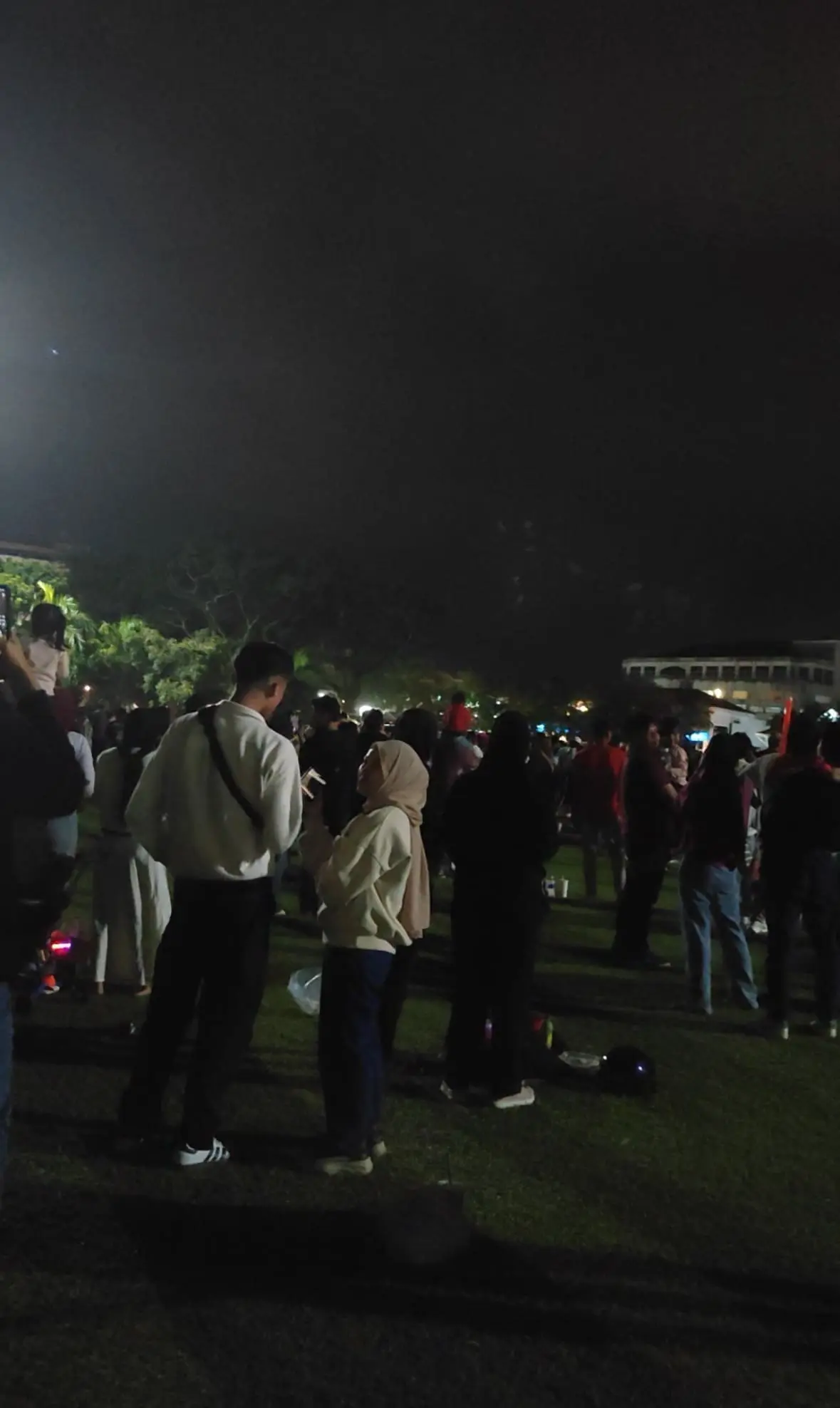 yoyo the cat sulk new year eve