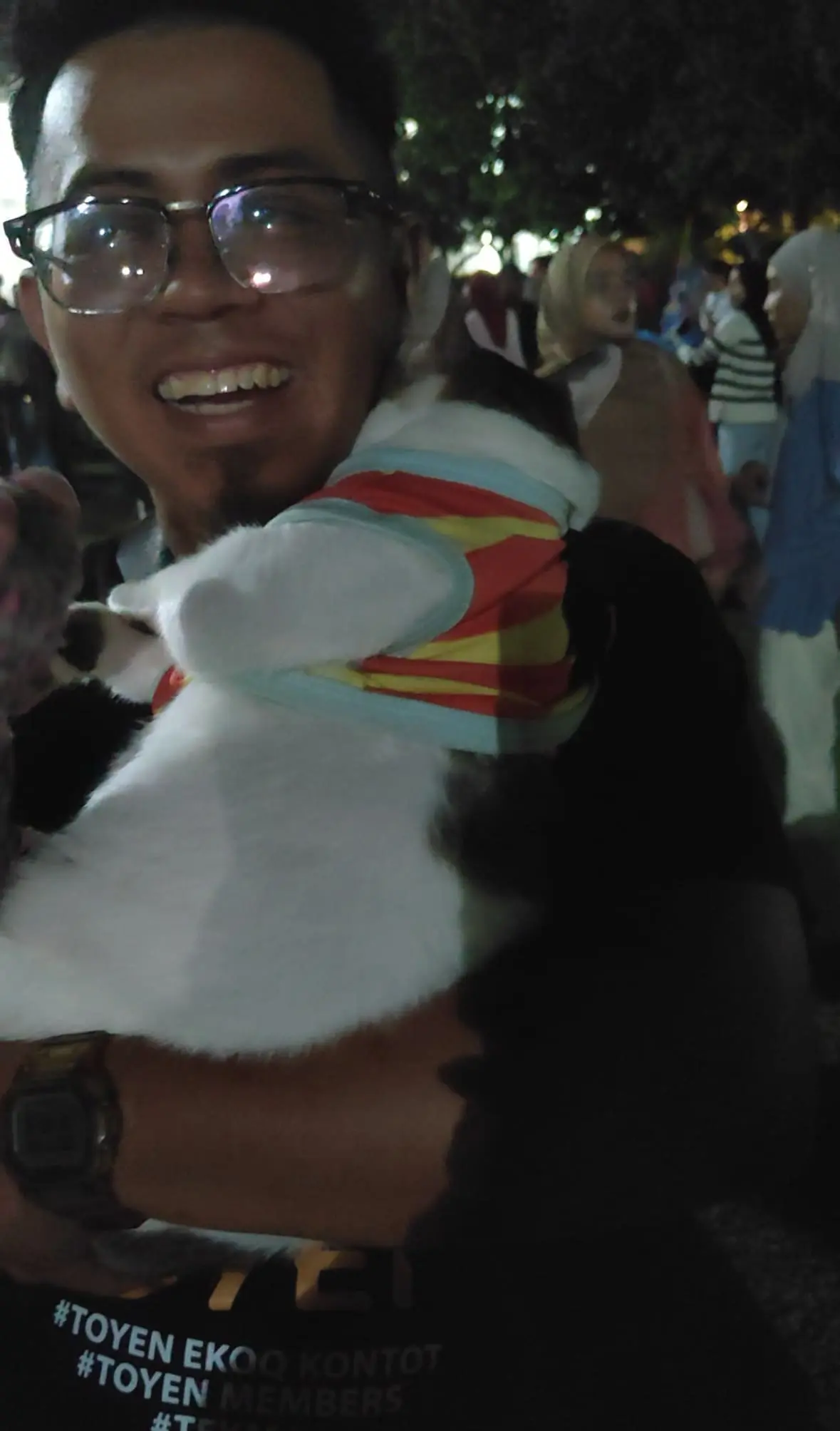 yoyo the cat sulk new year eve