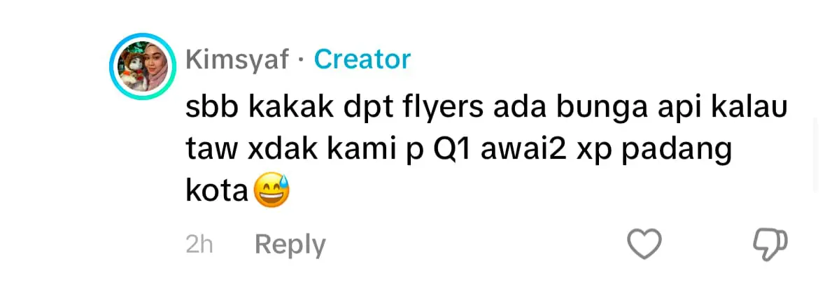 yoyo the cat sulk new year eve comment