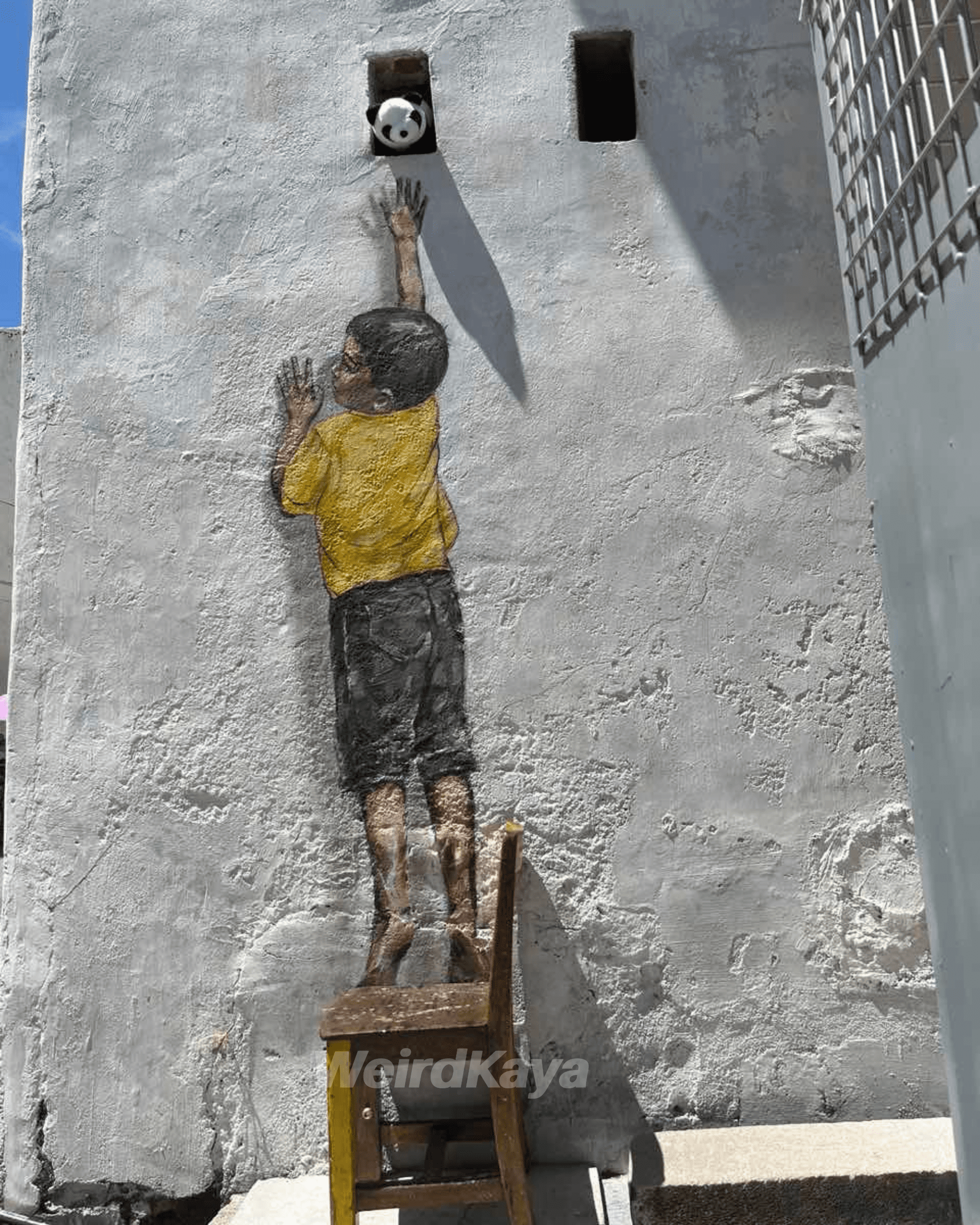 Boy on a Chair