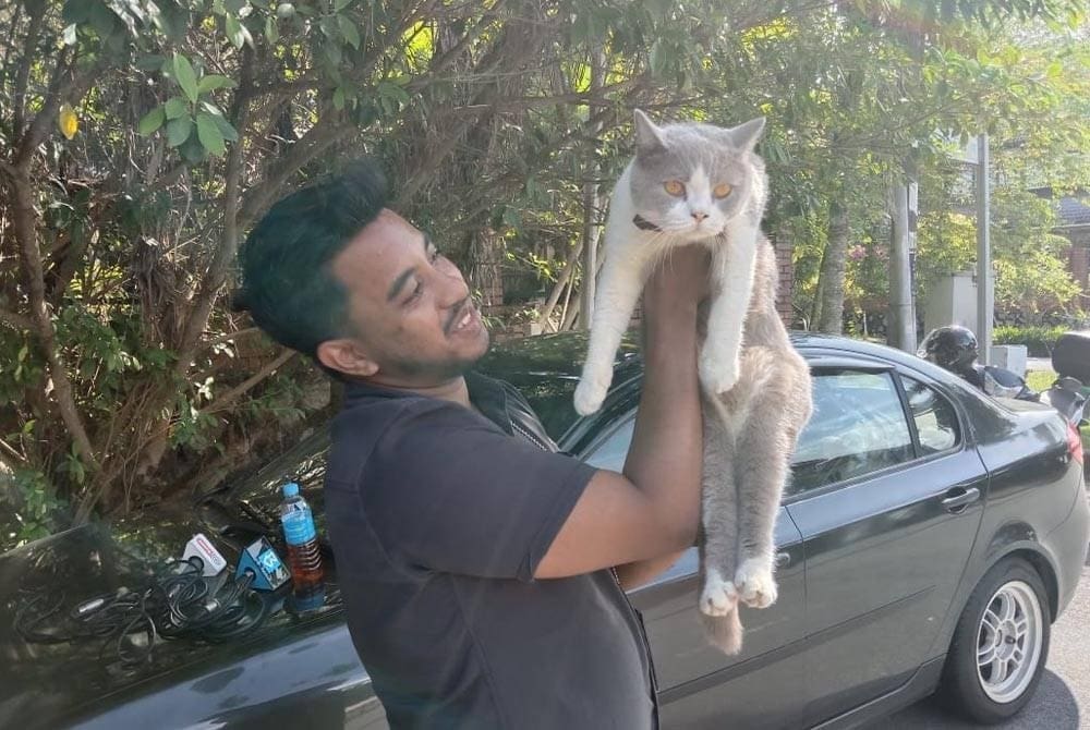 Anwar Ibrahim's Cat Named Billy Warms The Hearts Of Reporters & Netizens