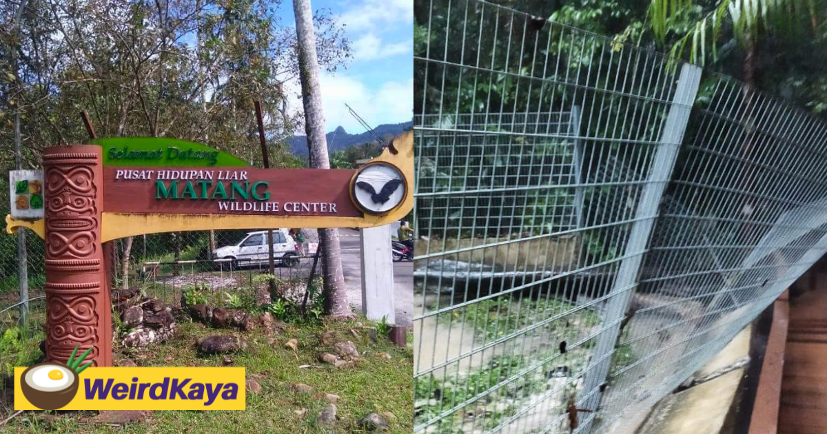 2 Crocodiles Escape From Kuching Wildlife Centre, Residents Nearby Urged To Be Careful