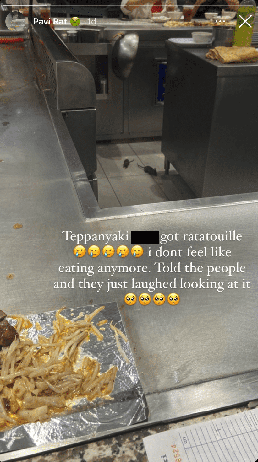 2 Rats Spotted Running Freely At A Japanese Restaurant In Kl Mall, Staff Merely Laughs It Off | Weirdkaya 2 rats spotted running freely in teppanyaki restaurant in kl shopping mall