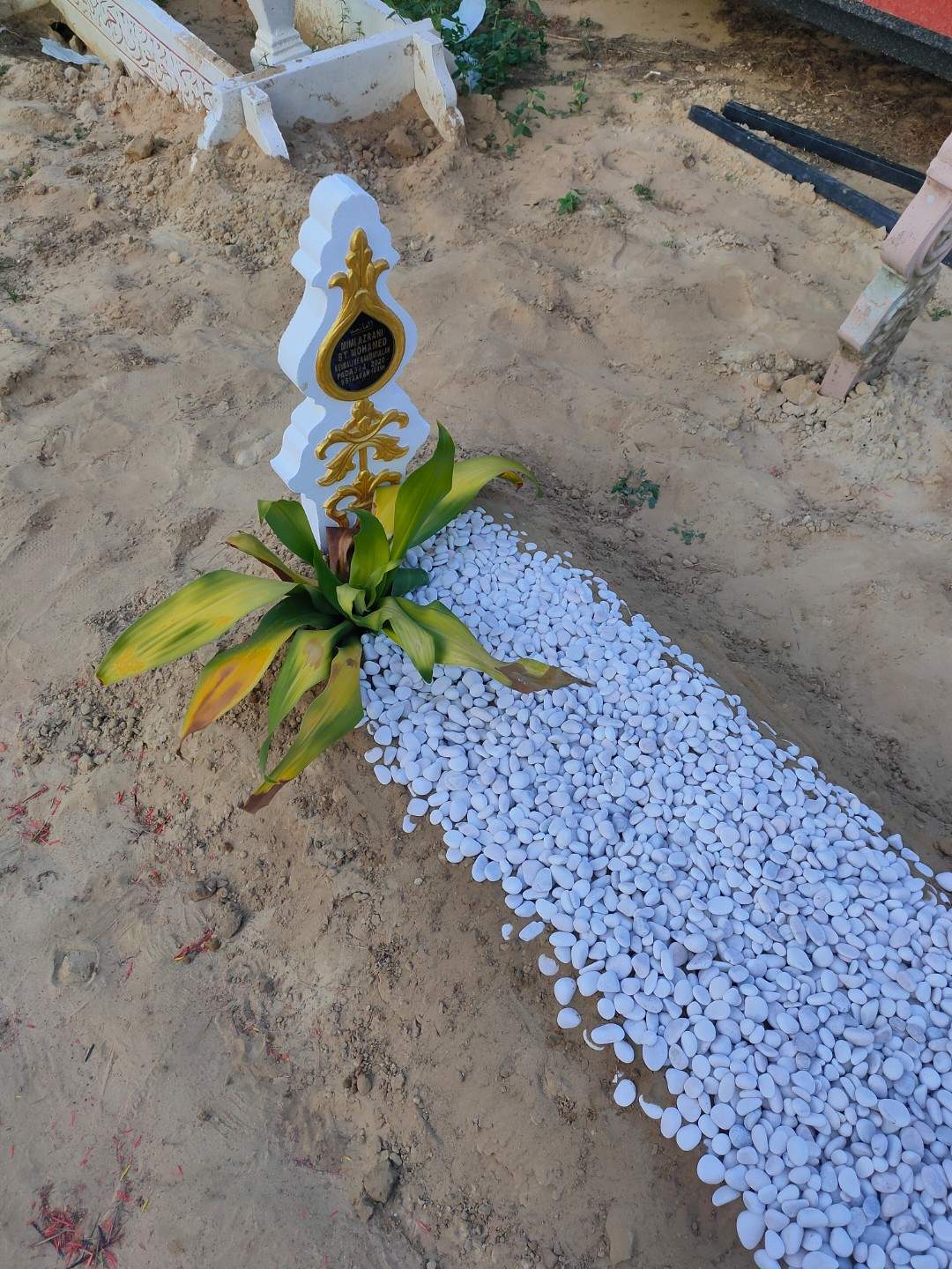 "I did it, Mama" Straight-A student tearfully shows SPM results at his mother's grave