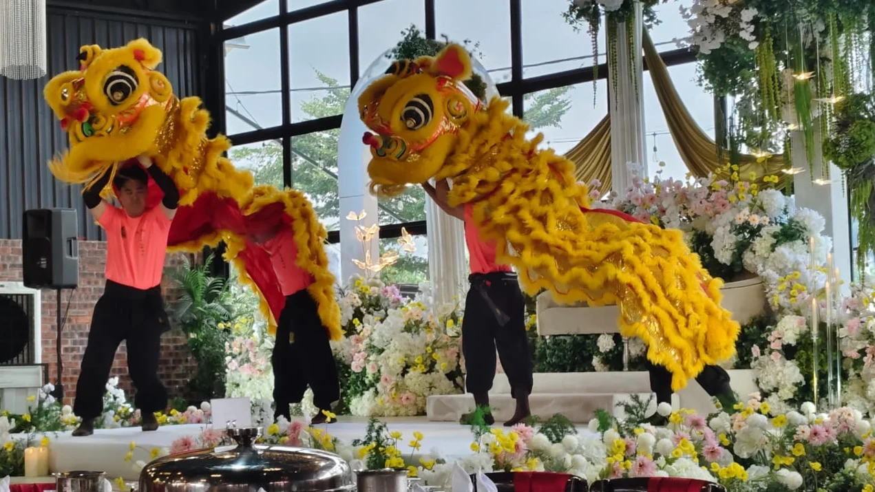 Lion dance