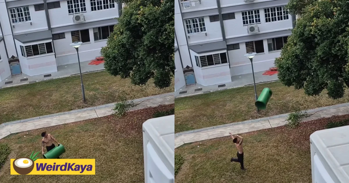 SG Man Tosses Bin Lid At Tree To Retrieve iPhone That Was On The Ground The Entire Time