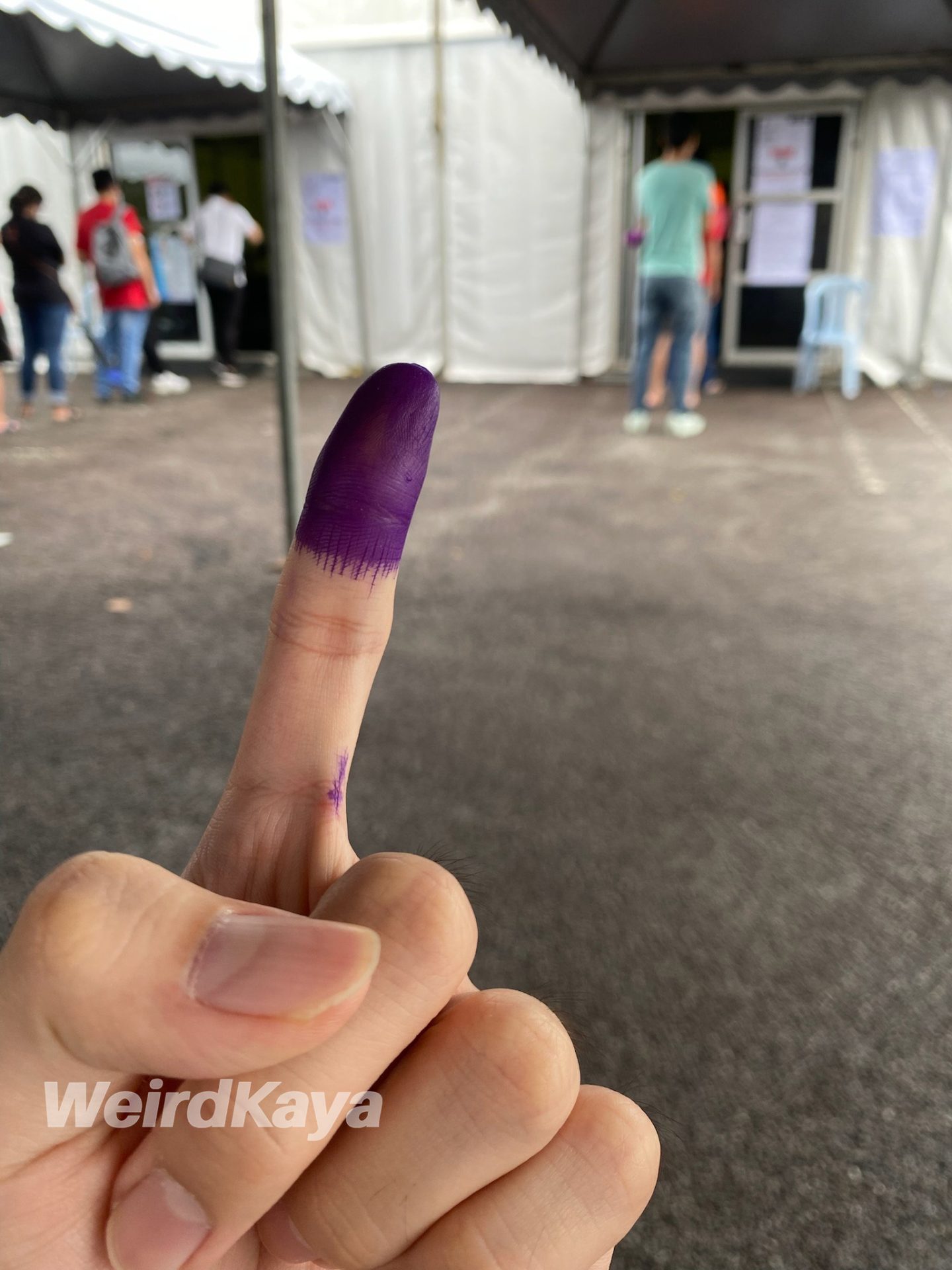 Vote general election inked finger ( )