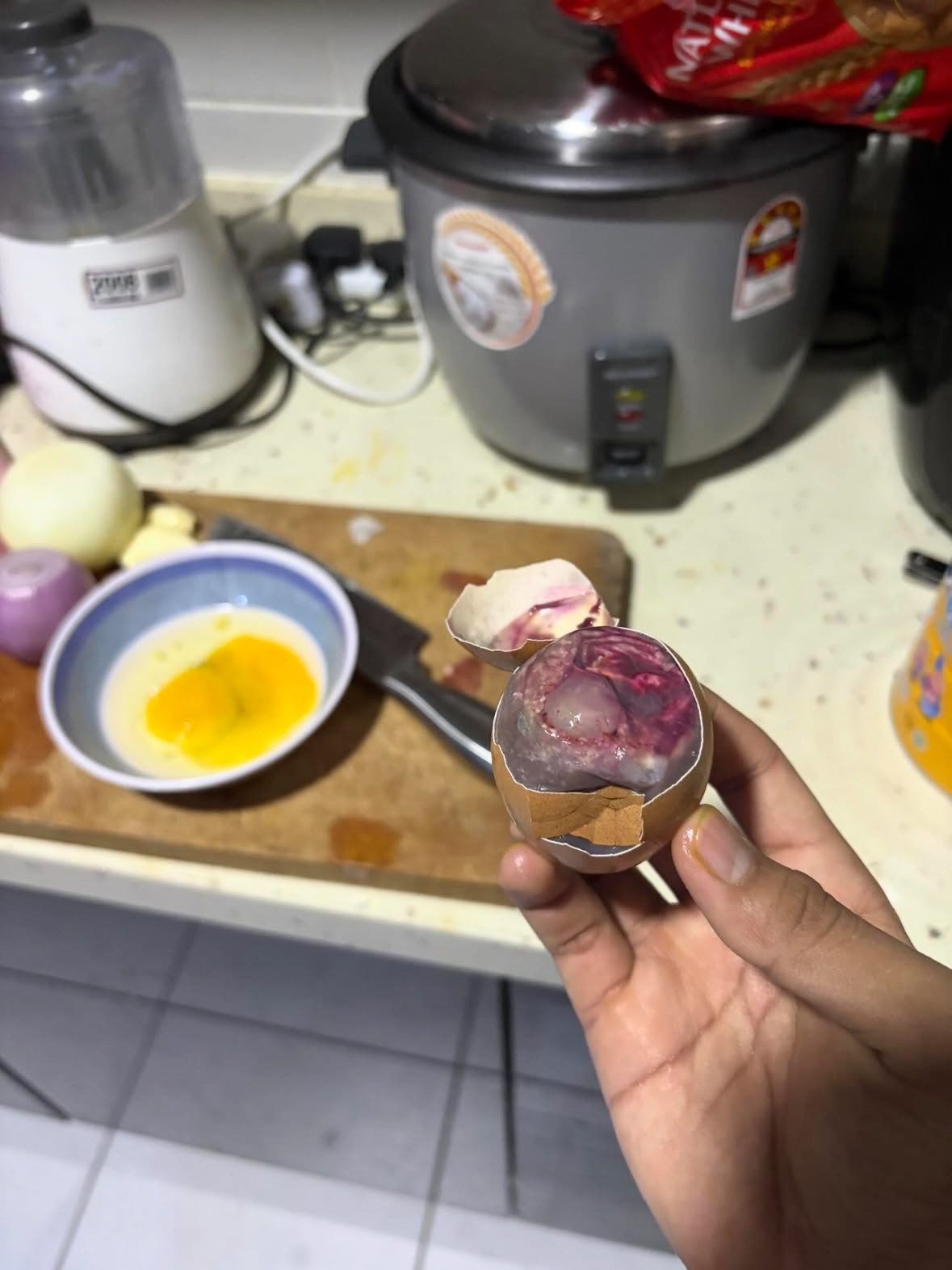  wk it was still beating — m'sian cracks open egg to cook omelette, finds live embryo inside.. 