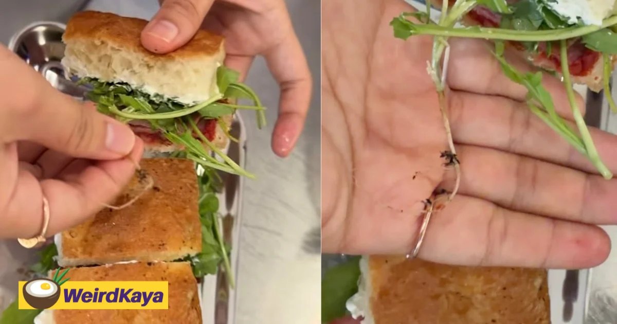 M’sian Woman Shocked After Finding An Entire Root With Soil Inside Her Sandwich | WeirdKaya