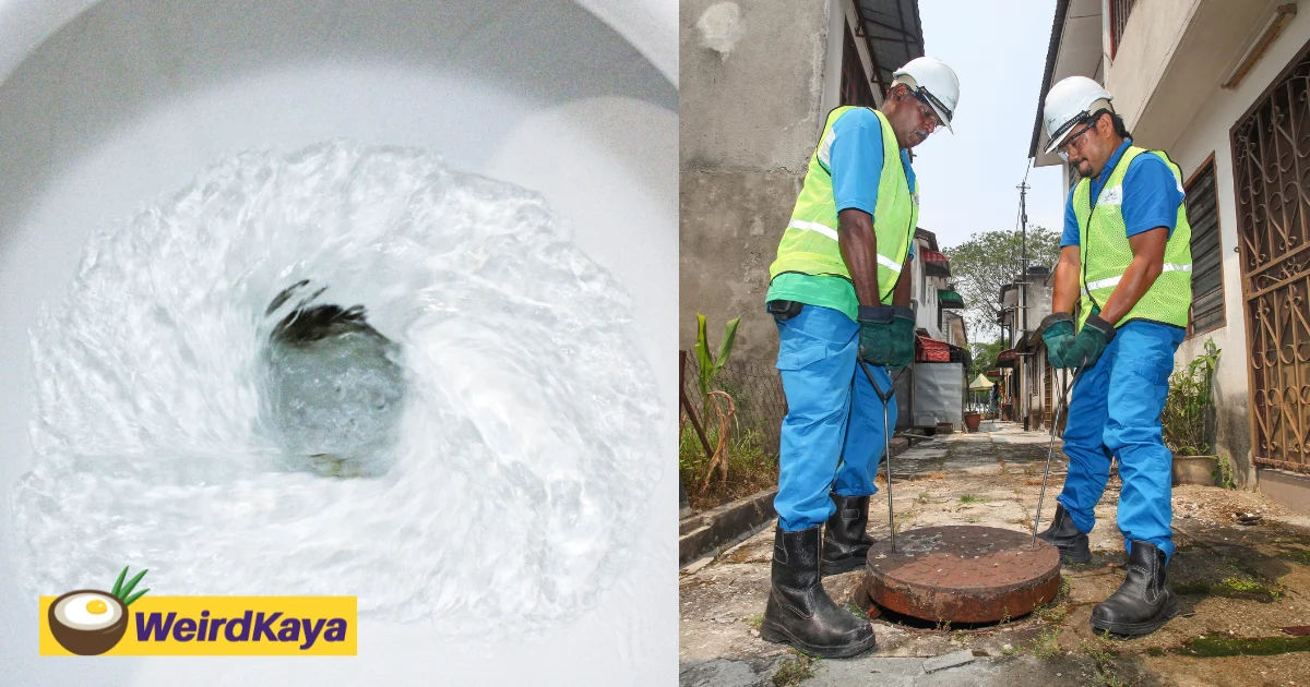 You Flush It, But Where Does It Go Next? Here’s What Happens After Wastewater Leaves Your Home | WeirdKaya