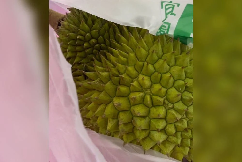 Durian given by 5 years old student to Teacher Maizatul Shafinaz on Teacher's Day.