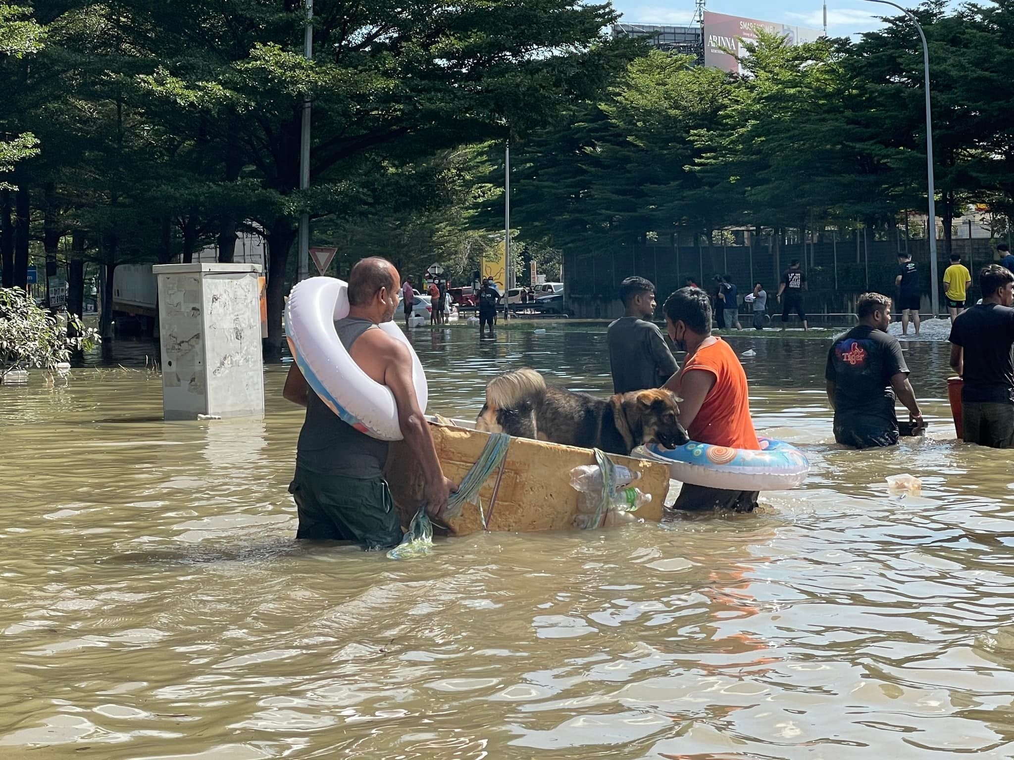 &Quot;Ask Another Department!&Quot; Flood Victim Ignored By Government Officials | Weirdkaya