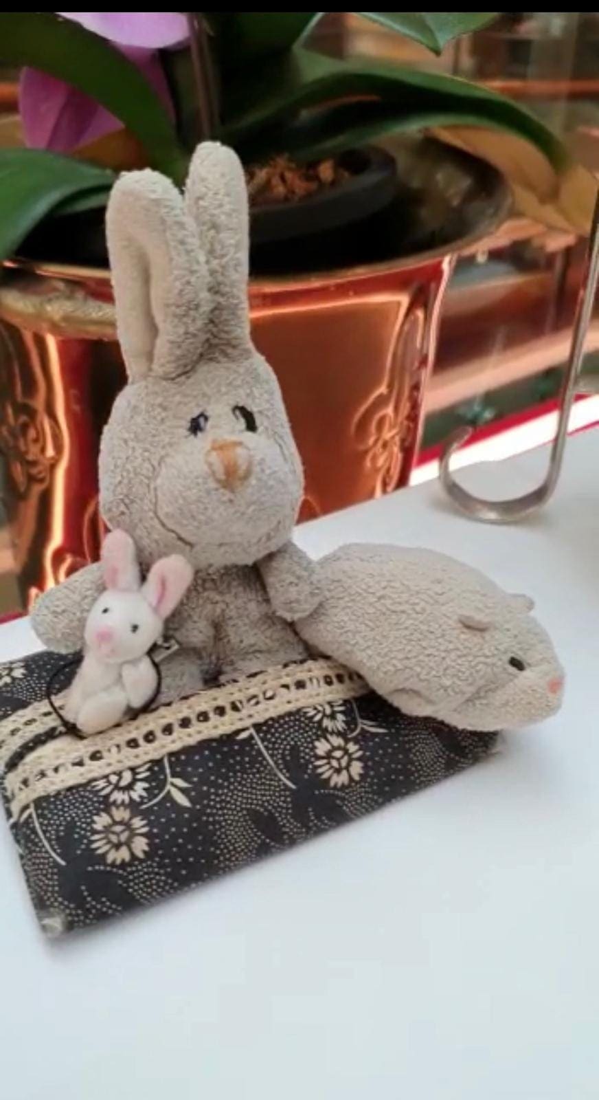 SG Woman toys who offers RM34k for its lost