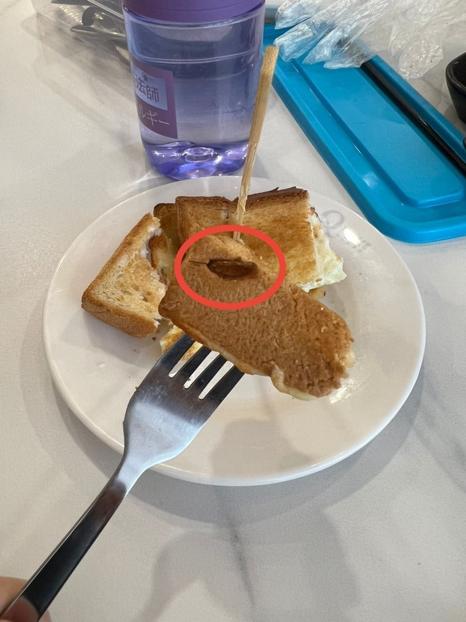 M'sian Man Shocked To Find Dead Cockroach Inside Toasted Bread At Puchong Eatery
