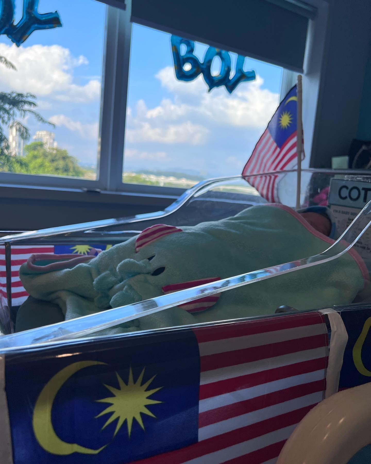 Goh Liu Ying's baby born on Merdeka day 