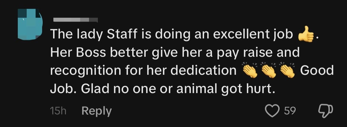 'Real Customer Service' — Lady Staff Praised For Patiently 'Guiding' Monkey Out Of Changi Airport comment 3