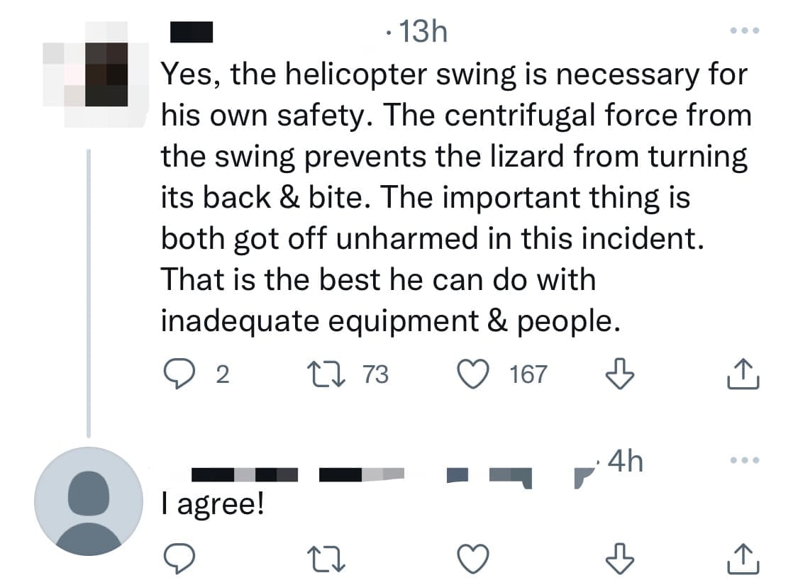 Fearless Guard Tosses Monitor Lizard Onto The Road With &Quot;Helicopter Swing&Quot; Technique | Weirdkaya Fearless guard tosses monitor lizard onto the road with