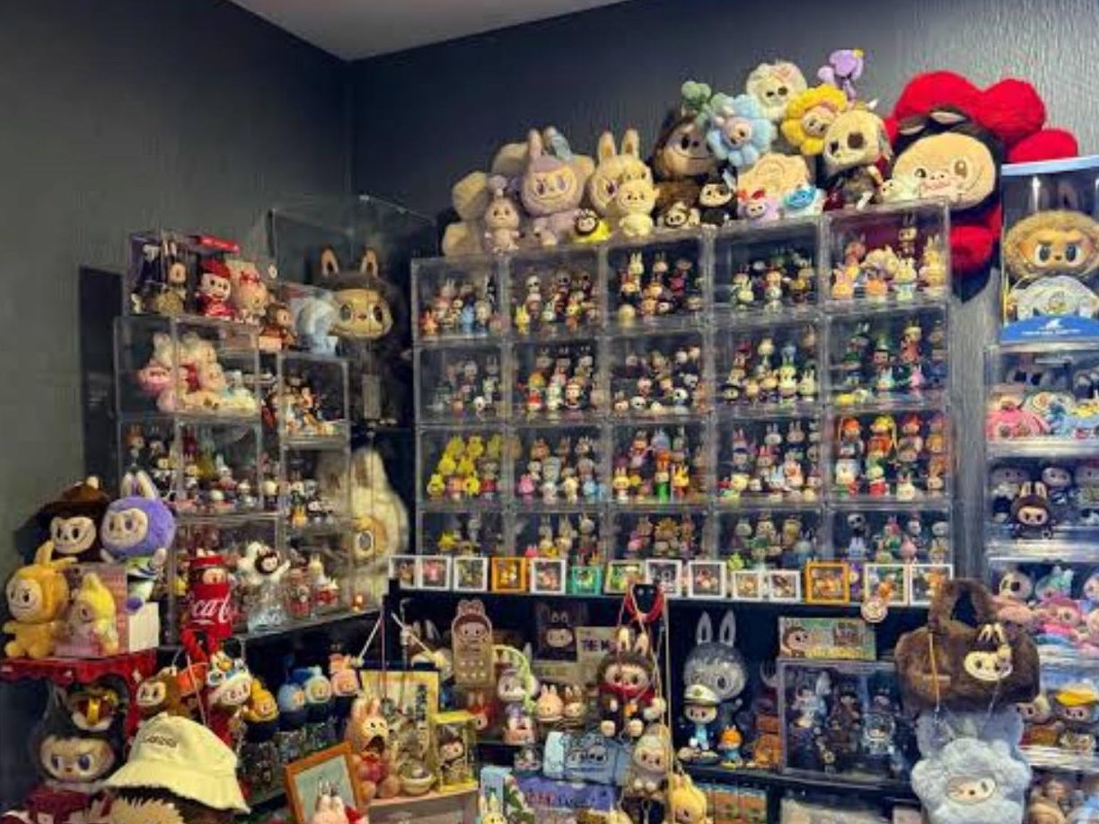 LABUBU IN A ROOM