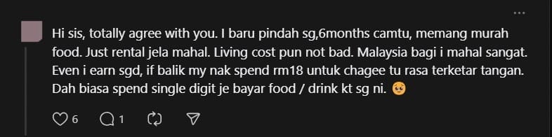 'Life's So Much Better Here' — M'sian Woman Says Singles Should Work In SG, Netizens Divided comment 1