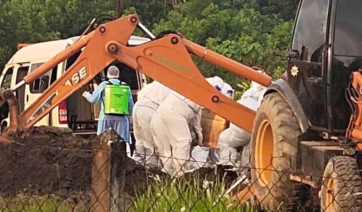 74yo COVID-19 patient dies in a road accident while transferring to hospital 03