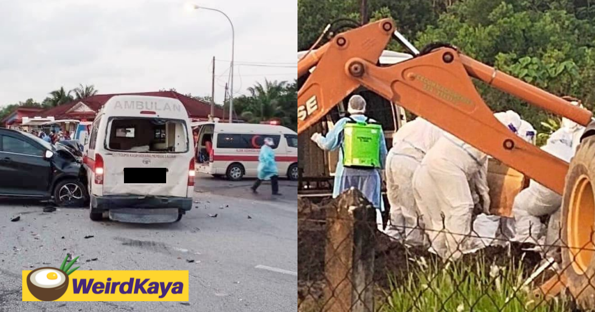 74yo covid-19 patient dies in road accident while on the way to the hospital | weirdkaya