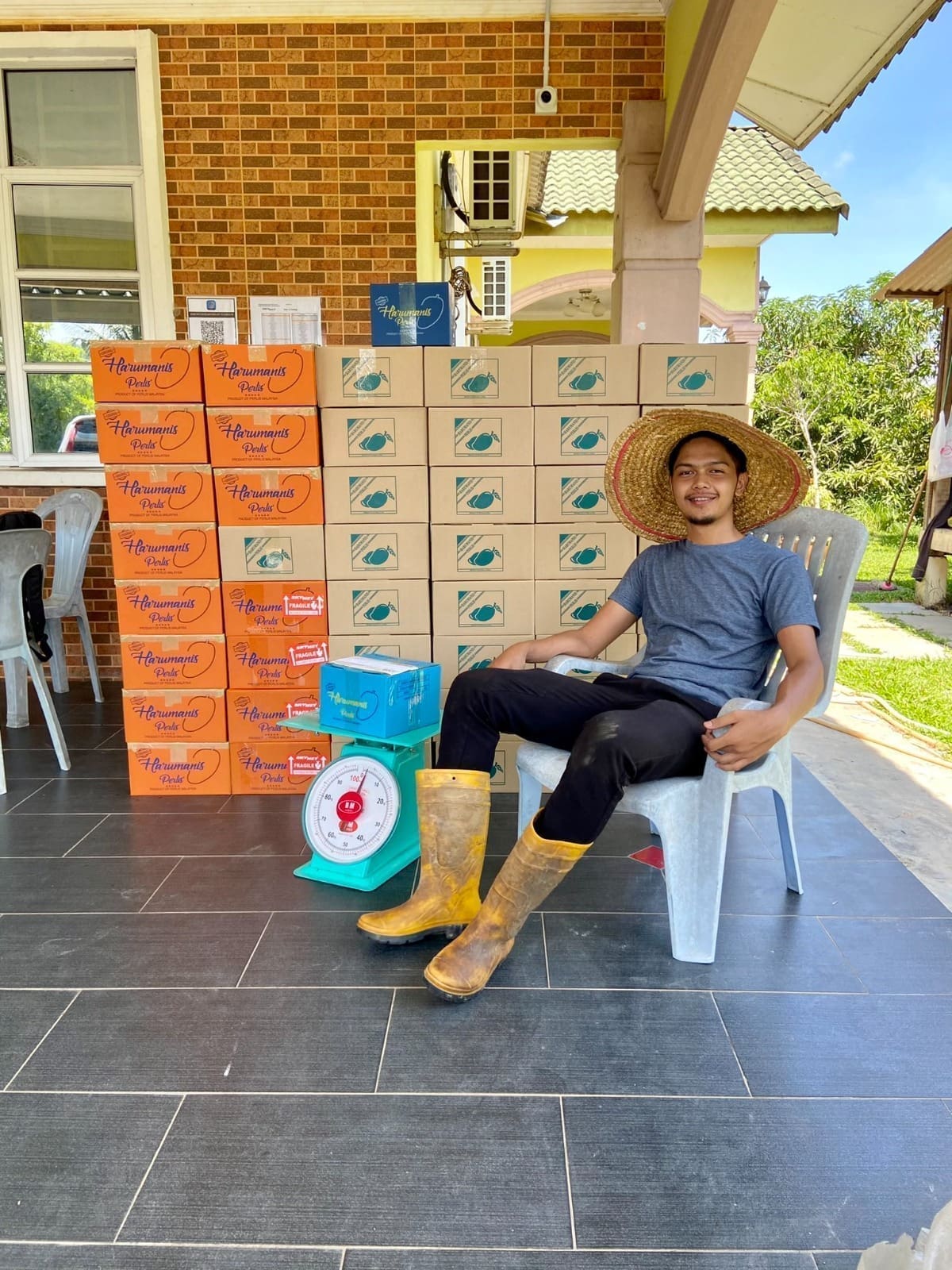 Aidil Akmal Sharidan, a lawyer and harumanis entrepreneur