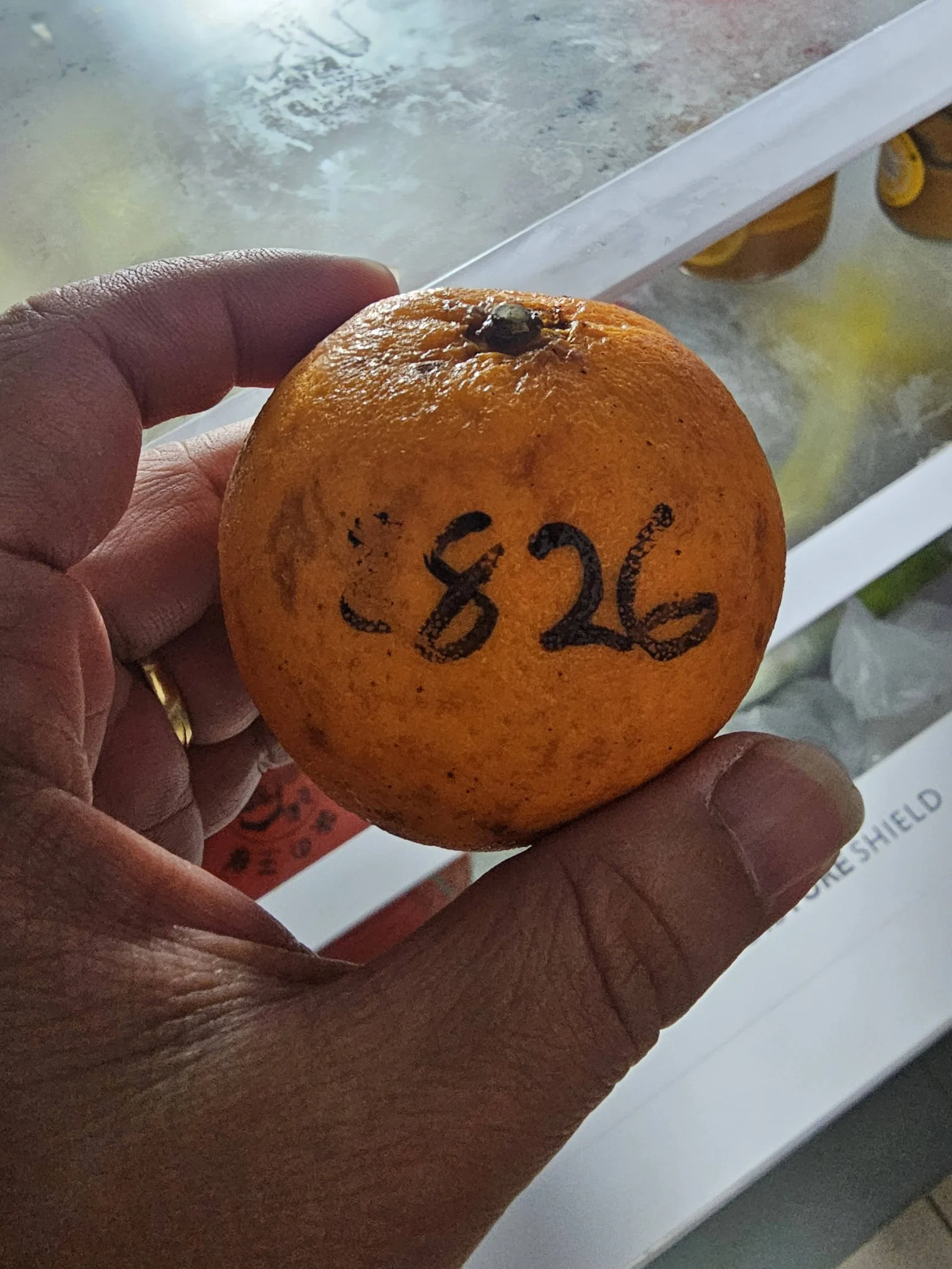 8826 on Mandarin orange
