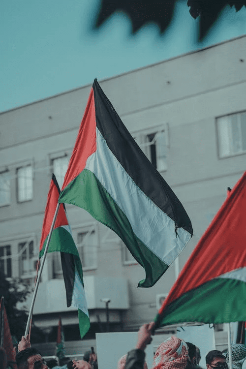 Palestine flag