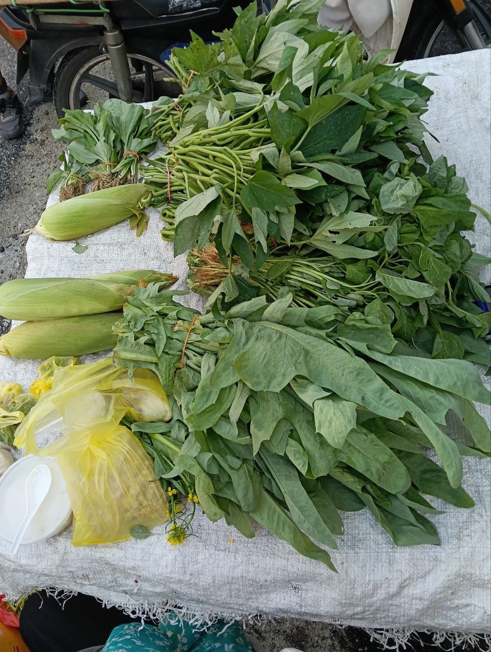 90yo fined for selling veggies with no licence (1)