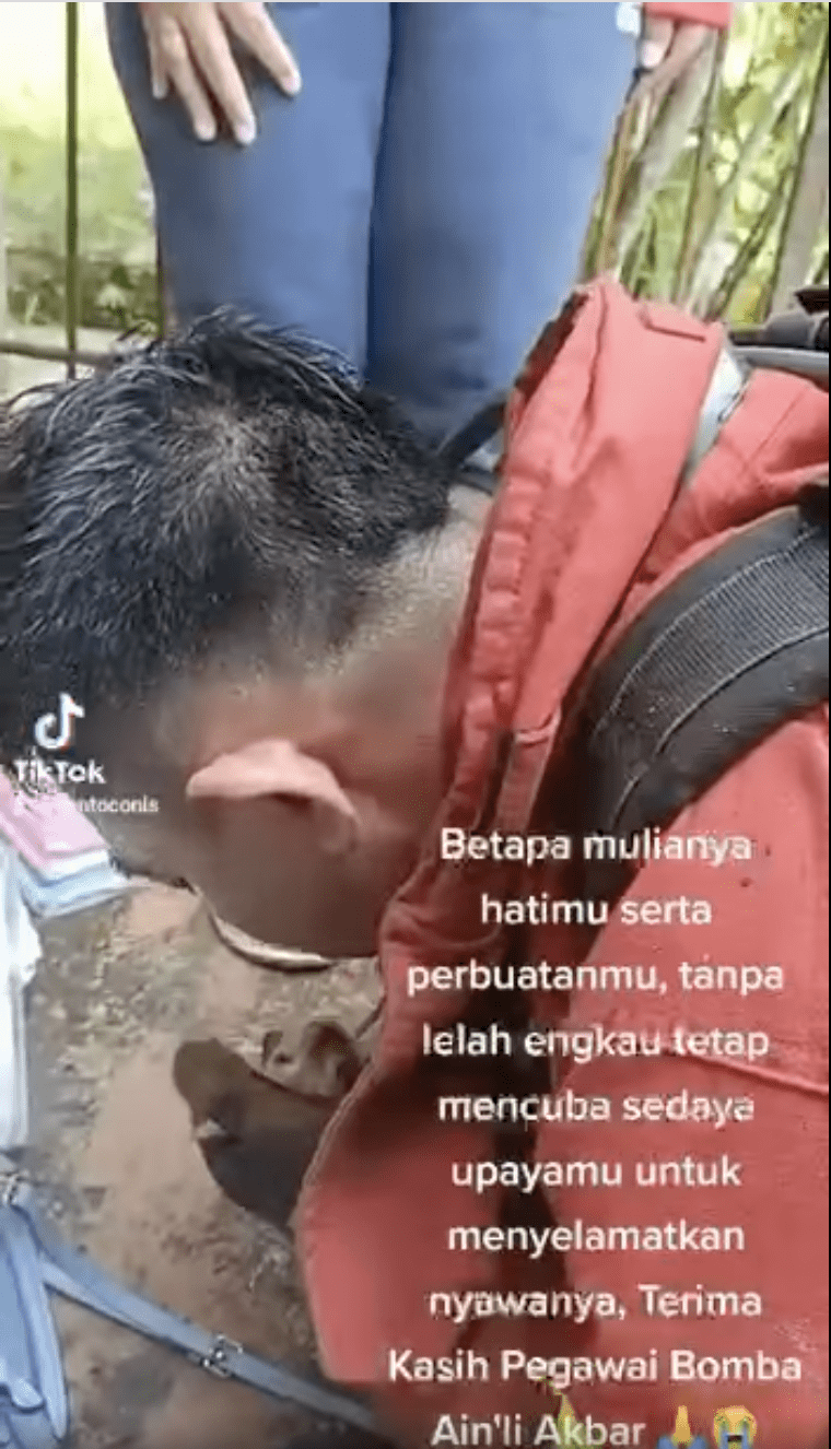 Firefighter doing CPR with cat
